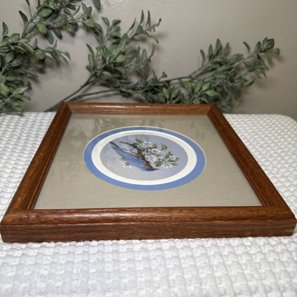 Don Breyfogle Eastern Bluebird Framed Wildlife Print 1988 9.6” x 9.4” Vintage - Picture 8 of 12